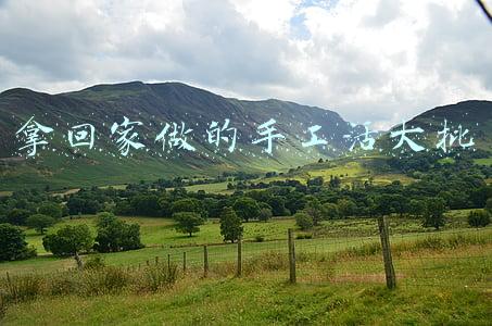 义乌手工活拿回家做(「e公司调查」实探外贸重地义乌：海运费一天一价，货代公司不敢接单，更严峻考验正在袭来……)