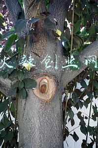 麻辣烫加盟致富(害怕吃辣的东北穷小伙：却开了6000家杨国福麻辣烫，年入几十亿)