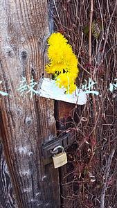 火辣炸鸡加盟费多少(单店月入23万的炸鸡小店到底如何？他们去了门店并跟老板聊了聊)