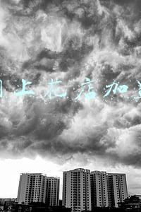 网上花店加盟电话(南通莜格花园：做有格调、有生活的高频次鲜花消费店)