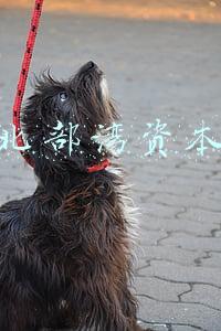 广西北部湾资本运作正面报道(广西北海\u0026#34;资本运作\u0026#34;传销组织79人被诉)