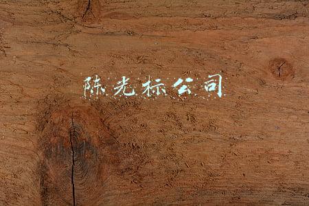 陈光标公司