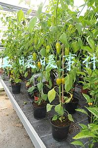 王暖暖事件视频(中国孕妇坠崖案无期改判10年，男方全程零口供，女方回应：我要继续斗争)