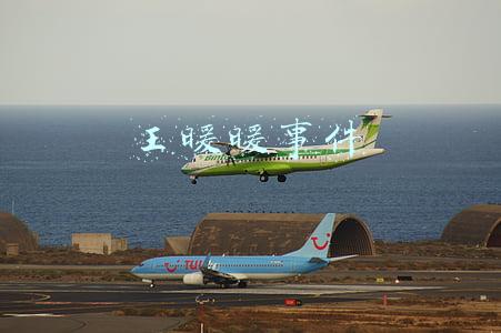 王暖暖事件