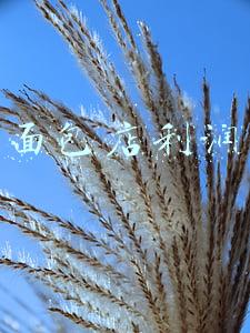 在上海开一家面包店利润(被误解的桃李：这家辽宁面包店 为何比巴黎贝甜赚钱？)