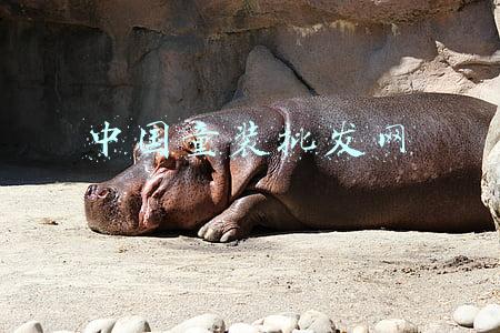 中国品牌童装网(开学季 优衣库新品开启孩子的暖暖秋日)