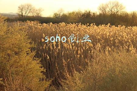 soho创业者如何自律(外贸SOHO，如何逼“自己”自律？)