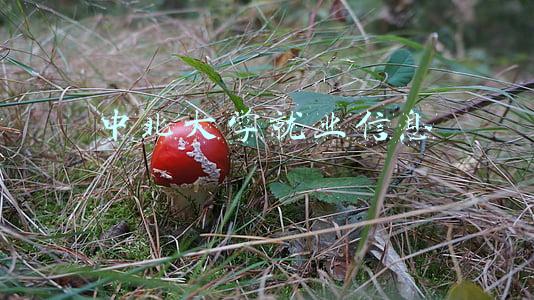 中北大学就业信息