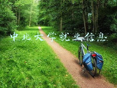 中北大学就业信息