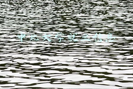 中北大学就业信息