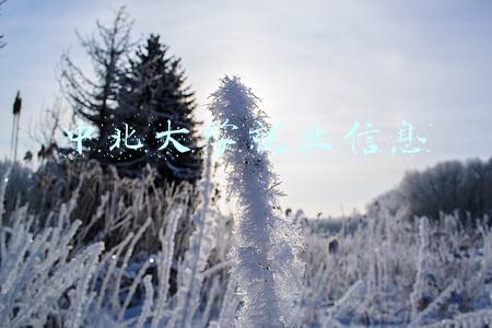 中北大学就业信息