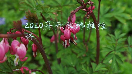 2020年开放地摊经济