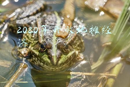 2020年开放地摊经济