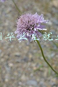 苏州毕业生就业网