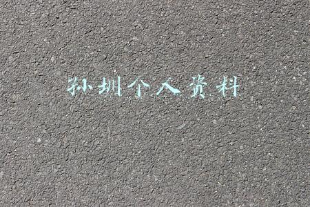 孙圳(孙侨潞妈妈近况惹担忧，每天以泪洗面给女儿发信息，自曝恨所有人)