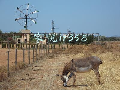 家悦ir358
