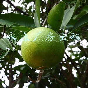 永康厂房出租