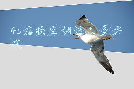 吉利4s店换空调滤芯多少钱-4s店更换空调滤芯多少钱?