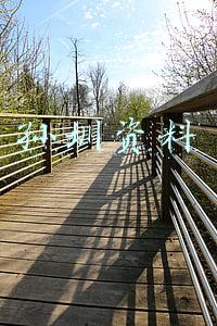 孙圳什么背景(孙侨潞亲姐绿魔仙被质疑蹭妹妹热度：此号停更，头像背景图有深意)