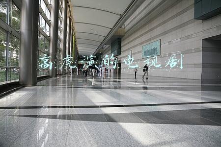 高虎演的电视剧有哪些(高虎的“毁灭史”：从“虚竹”到“阶下囚”，他经历了什么？)