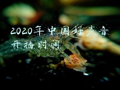2020年中国好声音开播时间