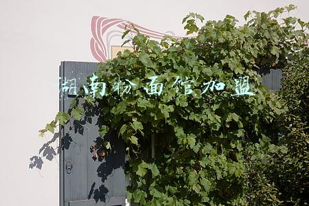 湖南杀猪粉加盟(记忆郴州：从一碗粉开始90后青年情系家乡白露塘，传承故乡记忆杀猪粉)