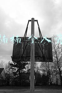 徐楠楠 个人资料