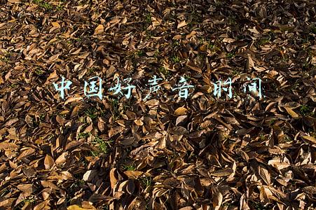 中国好声音 时间慢(慢度好时光)