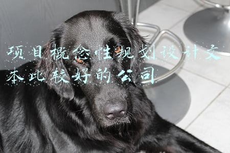 项目概念与概貌怎么写(文案怎样才能吸引人？清华教授点评2篇作为示范)