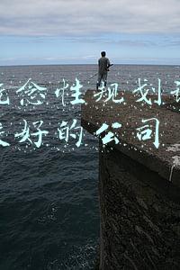 项目设计理念怎么写(乡村项目开发特色功能设计理念)