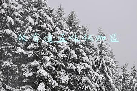 酸甜苦辣咸是人生五味(人生有五味，酸甜苦辣咸)