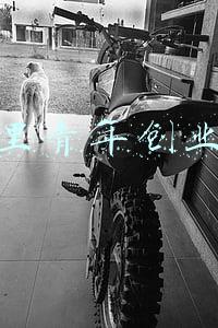 阿里百川创业基地(百川计划提速，阿里创业基地即将“纳客”了)