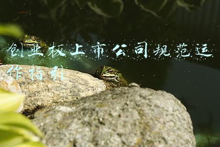 创业板上市公司规范运作指引