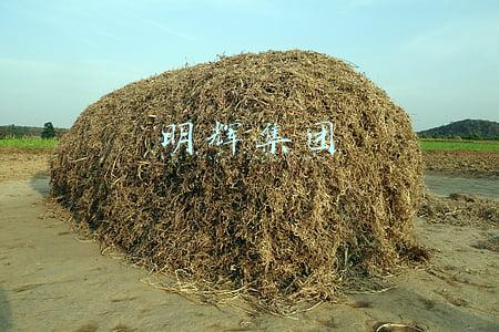 明辉集团
