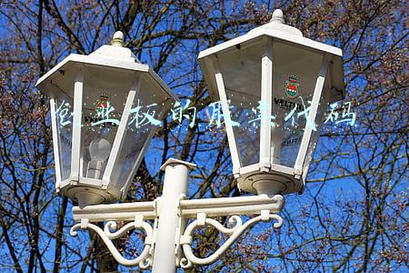 创业板的股票代码