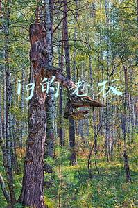 ig战队老板(土豪创建的电竞战队，王思聪的IG实力竟然不是最强的？)