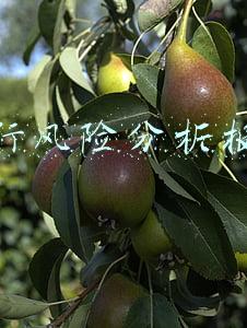 银行风险分析报告怎么写(「书讯」村镇银行风险管理研究：基于MtF模型)