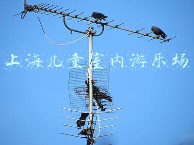 上海儿童室内游乐场所排行榜(一键释放萌娃运动力→魔都热门亲子打卡地大搜罗)
