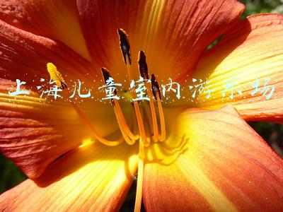 上海室内儿童游乐场所具体地址(【乐游】国庆假期去哪里“遛娃”？这11个好去处值得打卡)