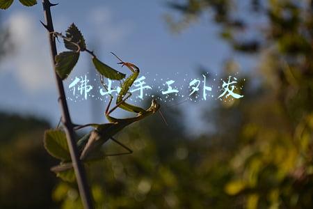 佛山手工外发