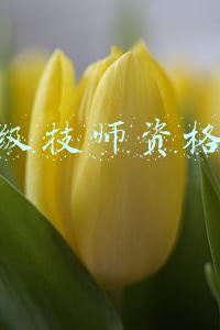 高级技师资格证