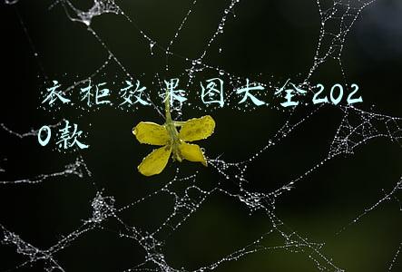 衣柜效果图大全2020款