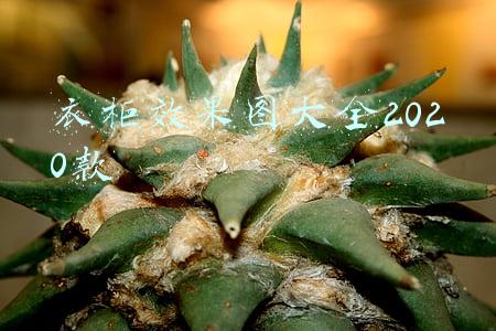 房间衣柜效果图大全2020款(100款衣柜设计，美)