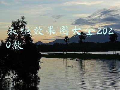 木工衣柜效果图大全2020款(看完日本的衣柜，想把家里的拆了重新装，板材用得少，使用更灵活)