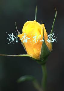 制香机器设备全套要多少钱(2022年夜饭菜单出炉，16道菜肴搭配好，看看有用得上的没？)