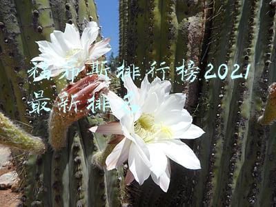 福布斯排行榜2021最新排名