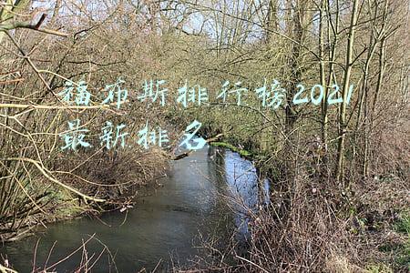 福布斯排行榜2021最新排名