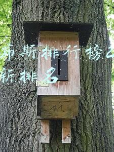 福布斯排行榜2021最新排名