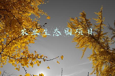 农业生态园项目合作合同范本(公园保洁承包合同)
