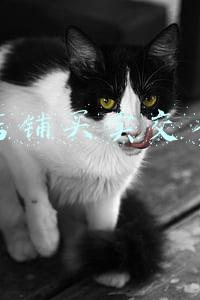 淘宝店铺买卖平台(支付宝大动作！85%的淘宝商铺支持用它付款)